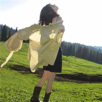 飞鹰